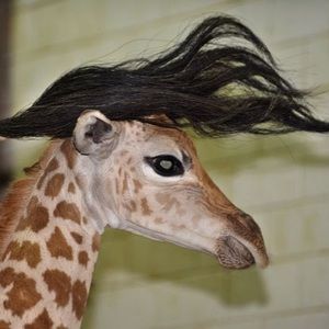 Meet your Posher, Nathan